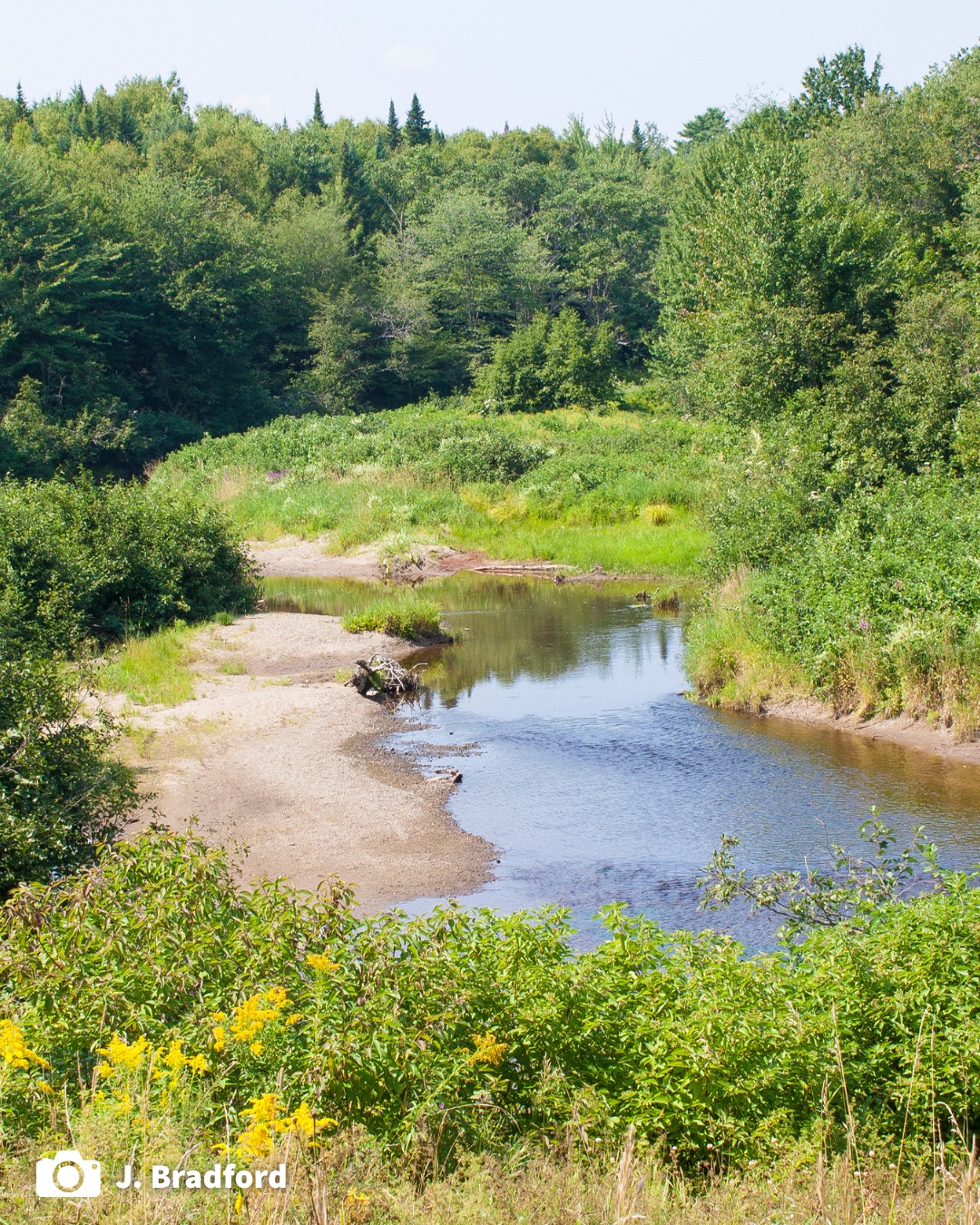 Land donation opportunity