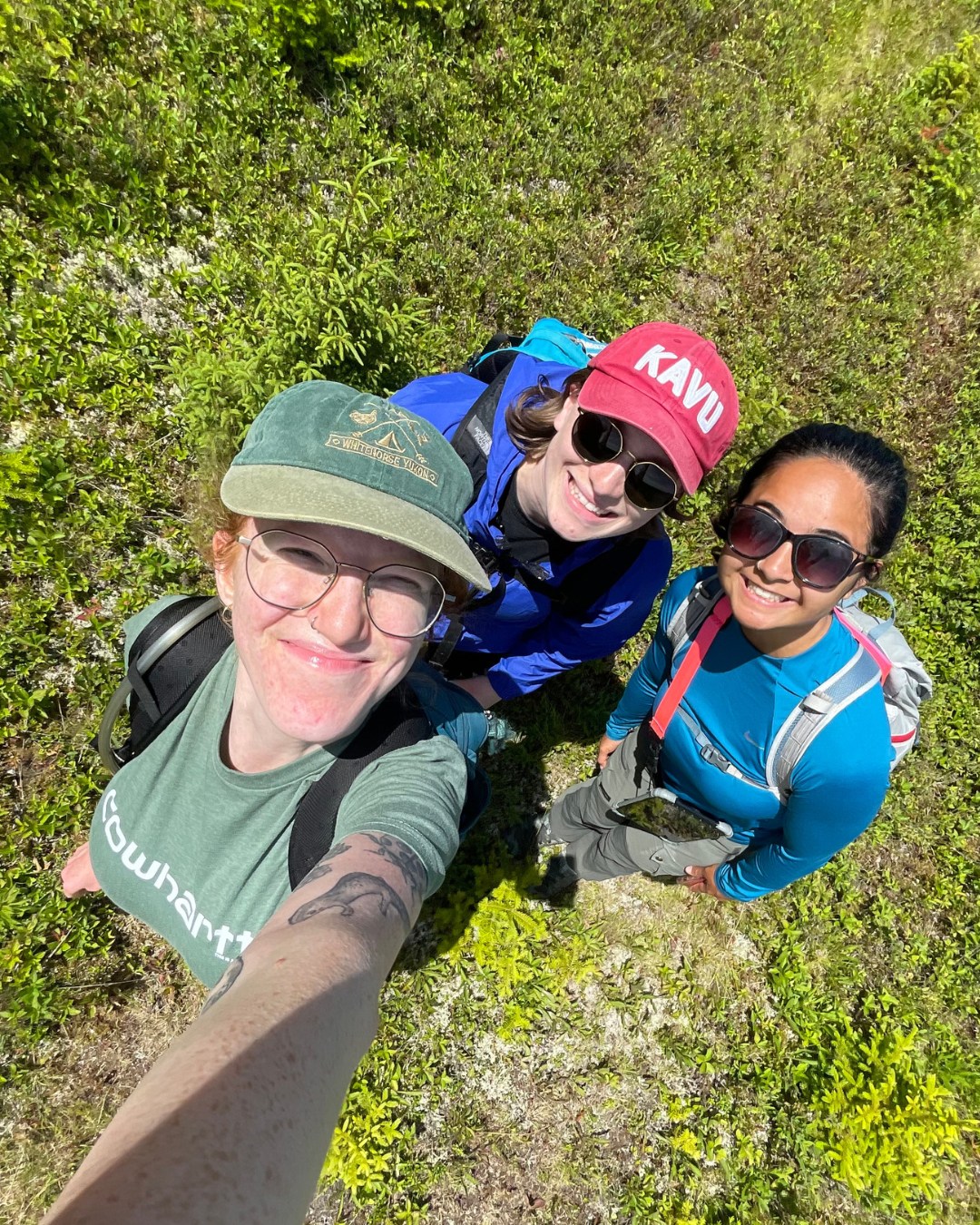 Partnership opportunities