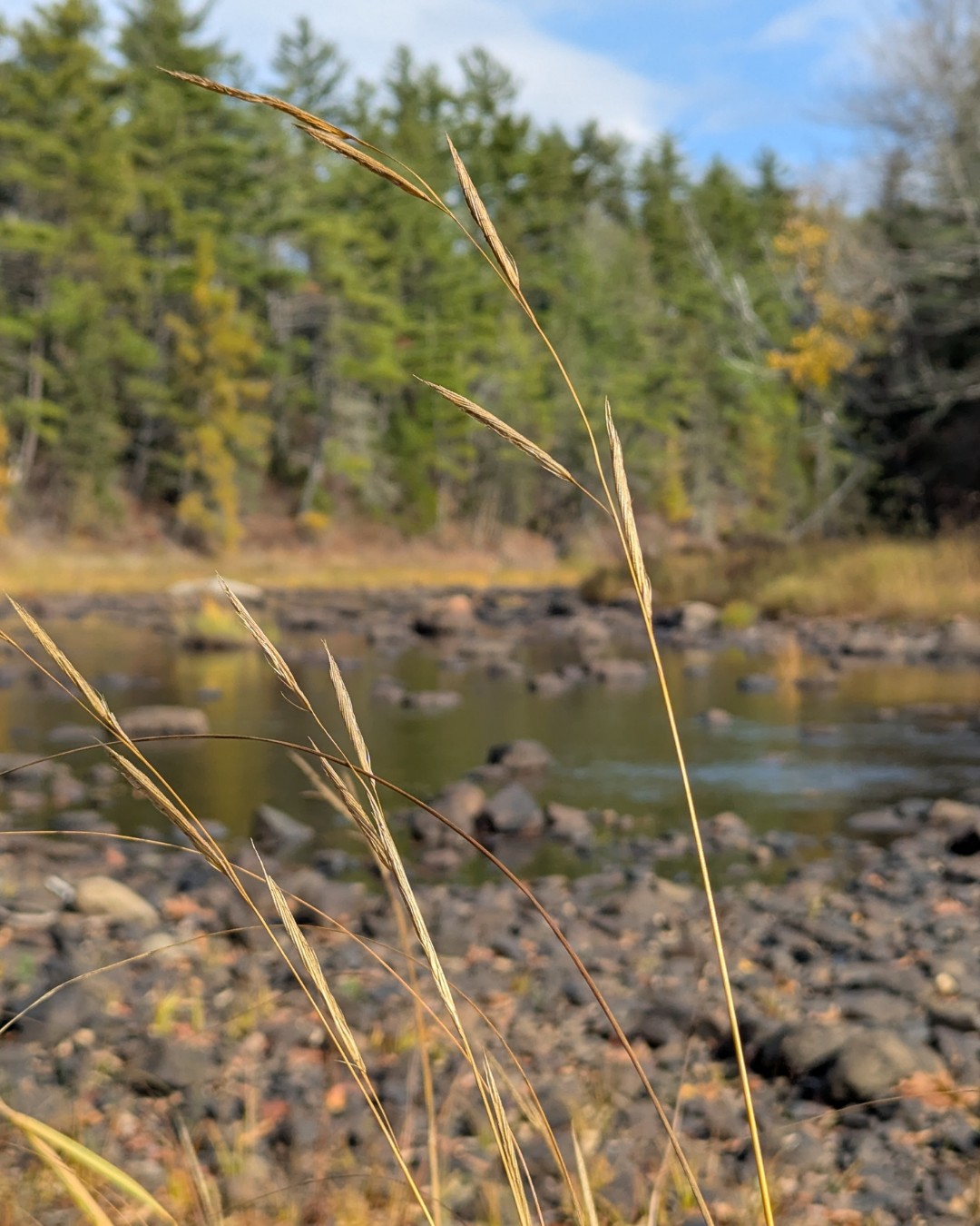 Community Empowerment Program